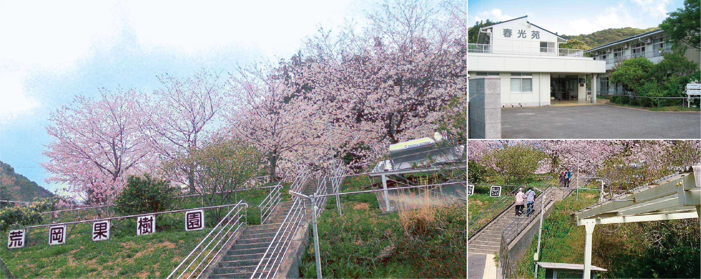 春光苑の建物外観